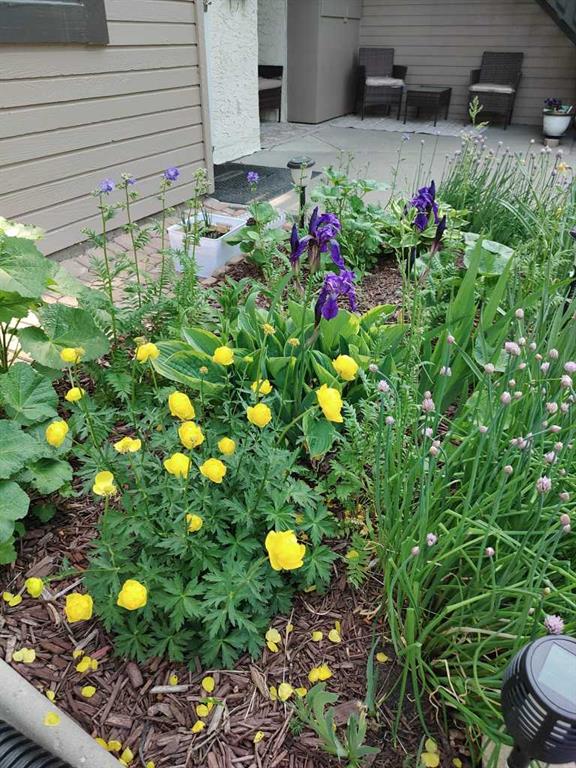 141 Cedar Springs Gardens SW