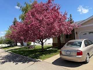 115 Macewan Park Heights NW